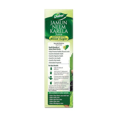 Dabur Jamun Neem Karela Juice | Natural Ayurvedic Juice for Overall Health