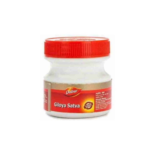 Dabur Giloy Satwa – Herbal Ayurvedic Tablets for Daily Wellness