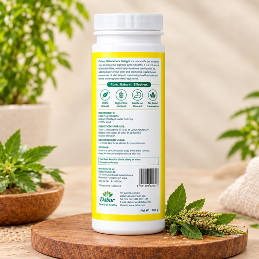 Dabur Nature Care Isabgol Powder – Natural Colon Cleanser & Gut Regulator
