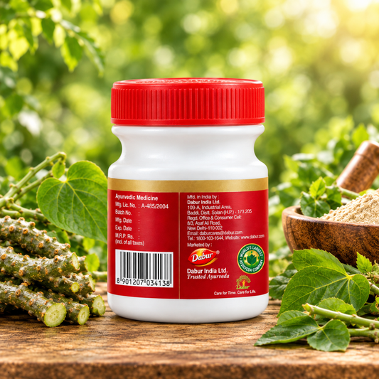 Dabur Giloy Satwa – Herbal Ayurvedic Tablets for Daily Wellness
