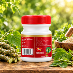 Dabur Giloy Satwa – Herbal Ayurvedic Tablets for Daily Wellness