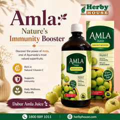 Dabur Amla Juice 1L – Ayurvedic Juice for Immunity, Hair & Skin Health
