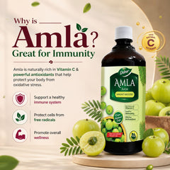 Dabur Amla Juice 1L – Ayurvedic Juice for Immunity, Hair & Skin Health