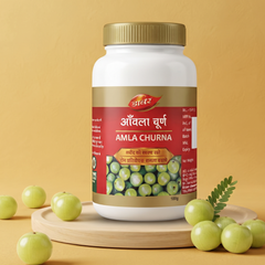 Dabur Amla Churna 100gm – Natural Amla Powder for Daily Wellness