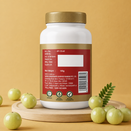 Dabur Amla Churna 100gm – Natural Amla Powder for Daily Wellness