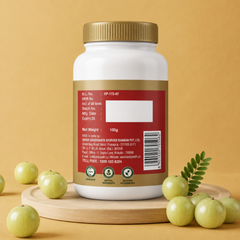 Dabur Amla Churna 100gm – Natural Amla Powder for Daily Wellness