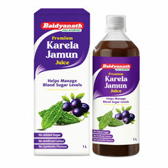 Baidyanath Karela Jamun Juice – Premium Ayurvedic Juice